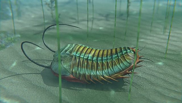 Dominan la Tierra los trilobites
