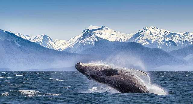 America's Acquisition of Alaska