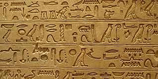 Evolución y Escritura