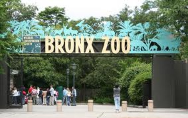 Zoo