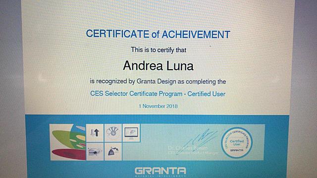 CES Selector certificate program