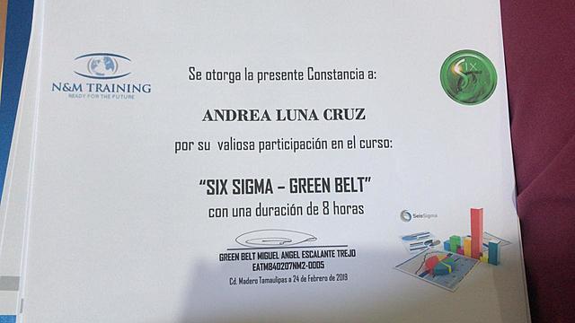 Curso "Six Sigma Green Belt"