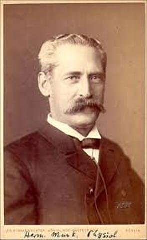 Munk   Lichtheim. 1881.