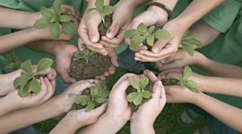Timeline: Historia y surgimiento de la Educación Ambiental