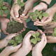 Educacion ambiental medios