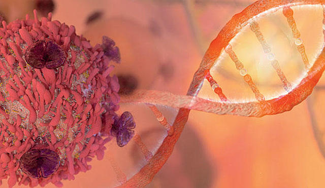 Inmunoterapia para tratar el cáncer