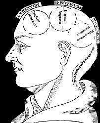 EDAD MEDIA- TEORIA VENTRICULAR XIII