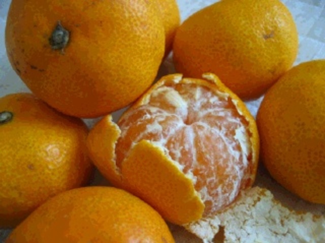 no seeds in tangerine
