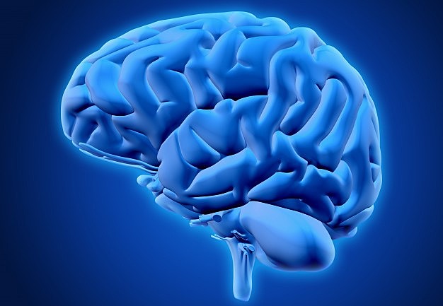 Término de Neuropsicología 1893