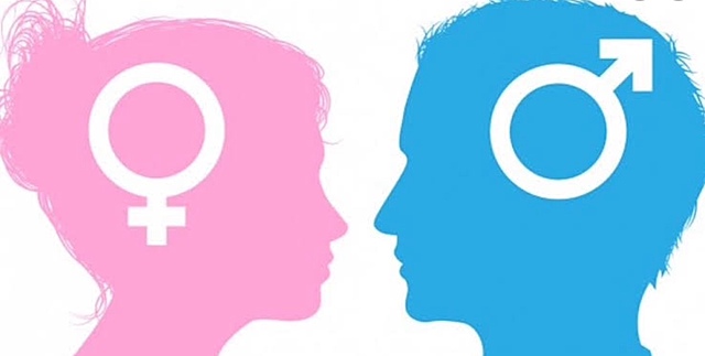 PROTOCOLO DE ACTUACIÓN E INTERVENCIÓN EN MATERIA DE VIOLENCIA DE GENERO