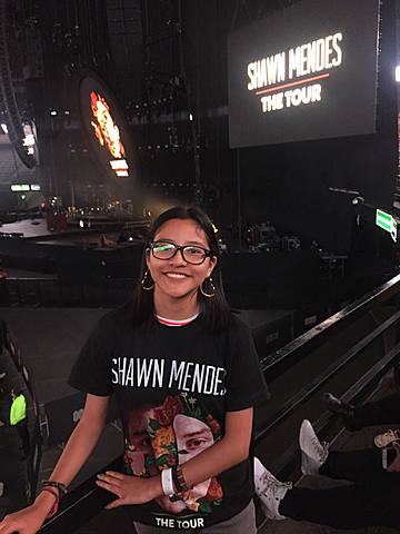I went to see Shawn Mendes