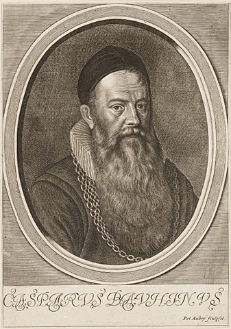 Bauhin Gaspard (1550-1624)