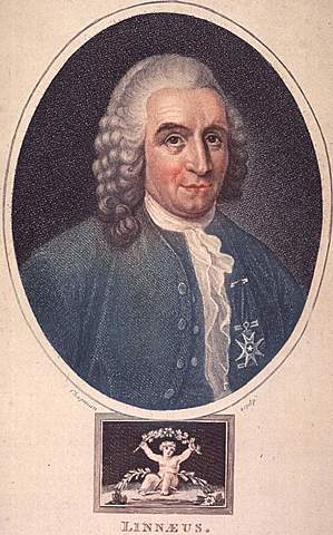 Carl Linneo (1707-1778)