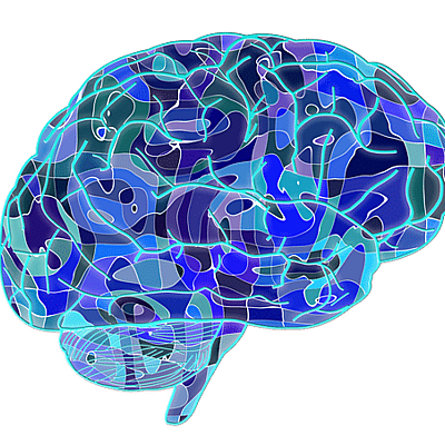 Timeline: HISTORIA DE LA NEUROPSICOLOGÍA