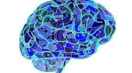 Timeline: HISTORIA DE LA NEUROPSICOLOGÍA