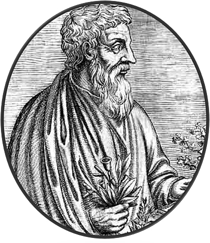 Pedacio Dioscórides Anazarbeo (40-90)