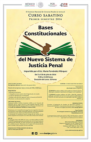 3. Bases Constitucionales