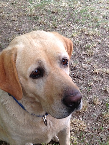 Primo giorno di scuola