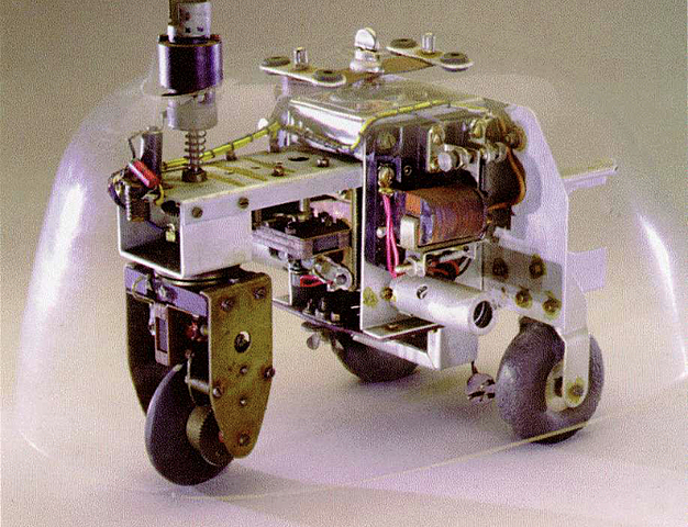 Tortue cybernétique