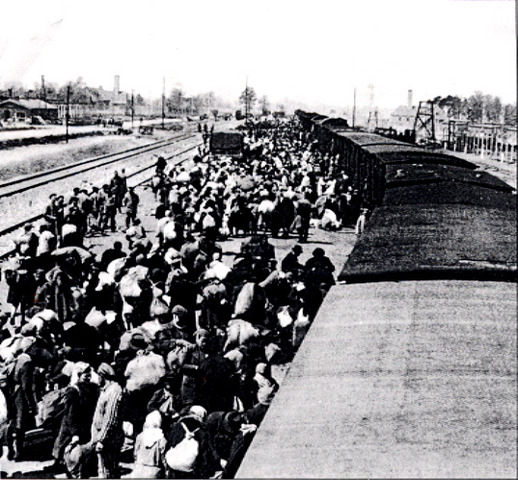 Deportations to Auschwitz extermination camp begins.