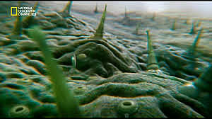 Lejos aún más Lejos