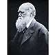 Charles darwin photograph julia margaret cameron 1868