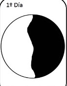 1º día de la creación