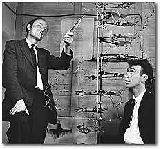 La scoperta di Watson e Crick