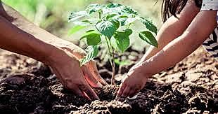 Secretaría del Medio Ambiente, Recursos Naturales y Pesca (SEMARNAP),