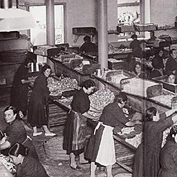 Investigación sobre la fatiga