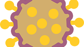 Timeline: COVID19-ZACATECAS | HISTÓRICO (Fuente: SSZ, 2020)