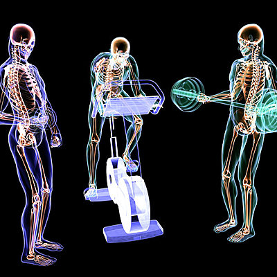 Timeline: Línea del Tiempo de la Fisiología del Ejercicio.