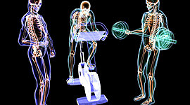 Timeline: Línea del Tiempo de la Fisiología del Ejercicio.
