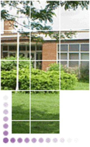 Volunteer at Roy H. Crosby