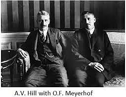 A. V. Hill y Otto Meyerhof obtienen el premio Nobel de Medicina.