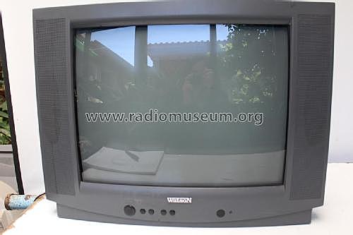 se adquiere la segunda televisión pero ahora de control remoto