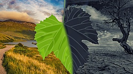 Timeline: Fechas claves para la protección de los recursos naturales