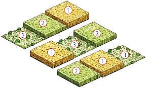 Surgimiento de la rotación trienal