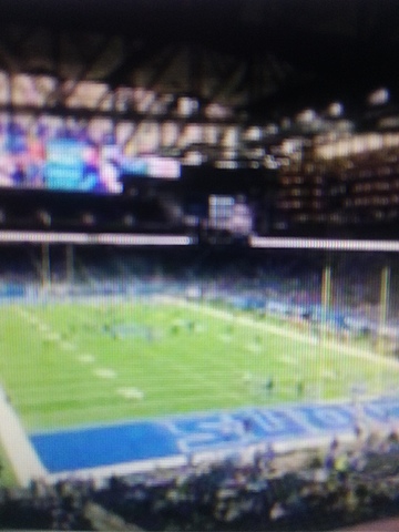 First Lions game