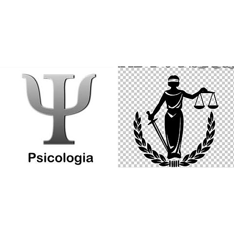 Los pregrados de Universidad