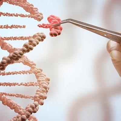 Timeline: Avances en el conocimiento del ADN