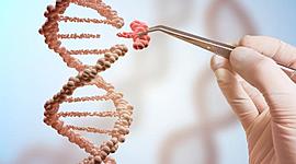 Timeline: Avances en el conocimiento del ADN