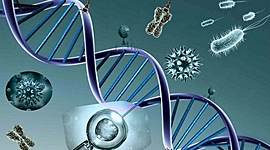 Timeline: Avances en genetica