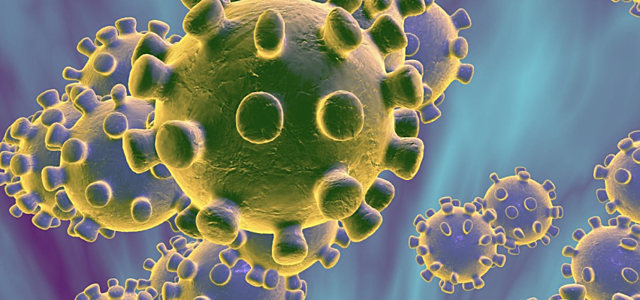 First Confirmed Case