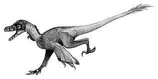 Late triassic (235 to 208)