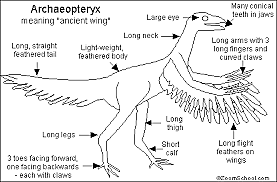Late jurassic (150-145)