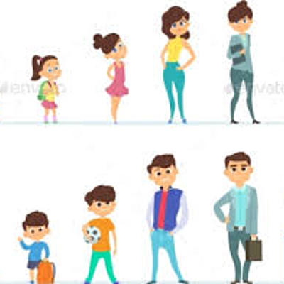 Timeline: Developmental Stages