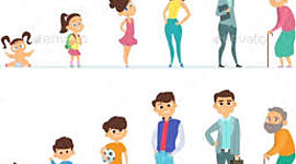 Timeline: Developmental Stages