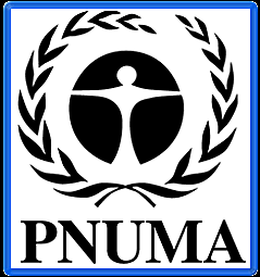 PNUMA
