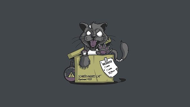 EL GATO DE SCHRÖDINGER